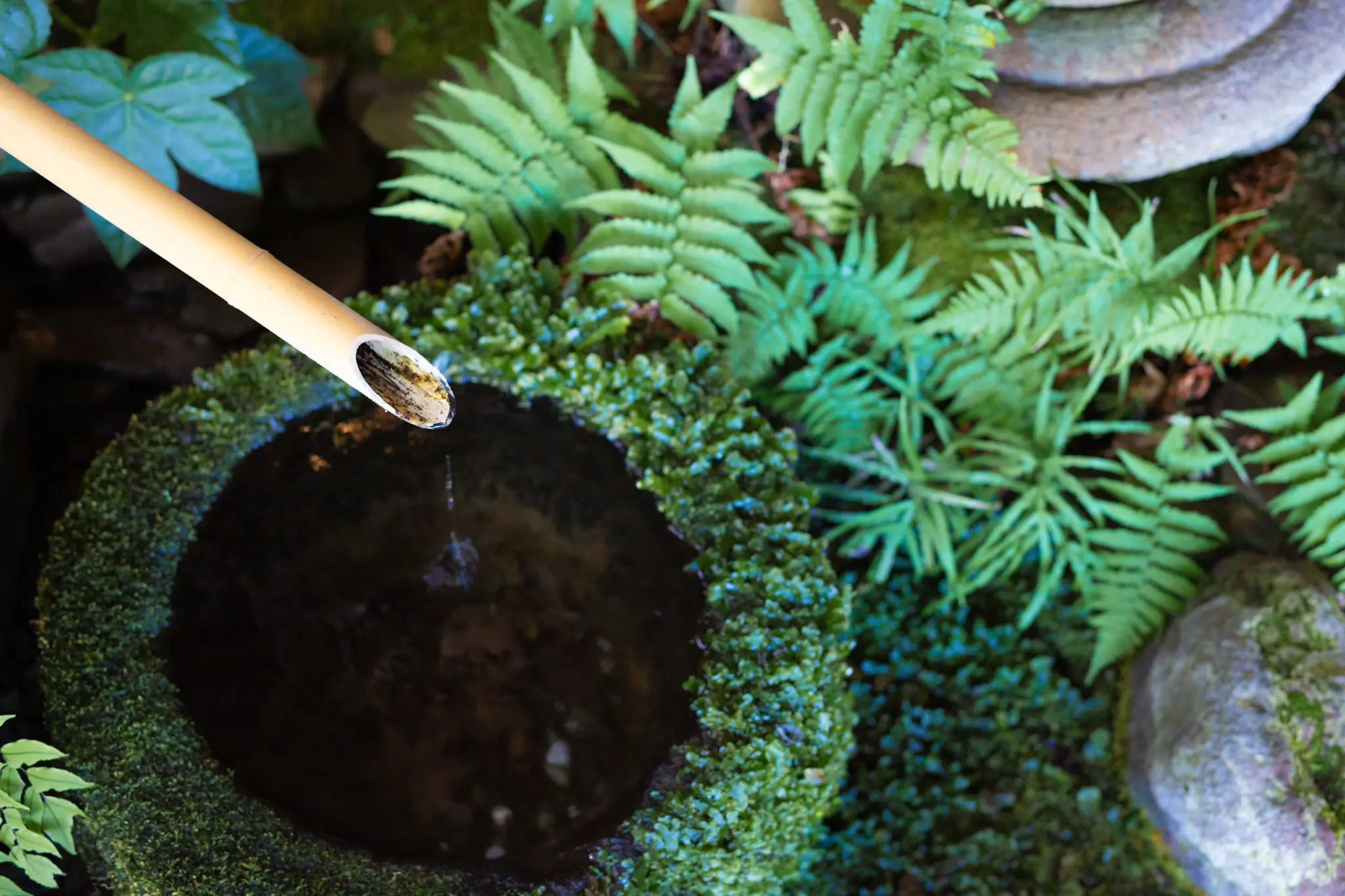 おしらせのメインビジュアル