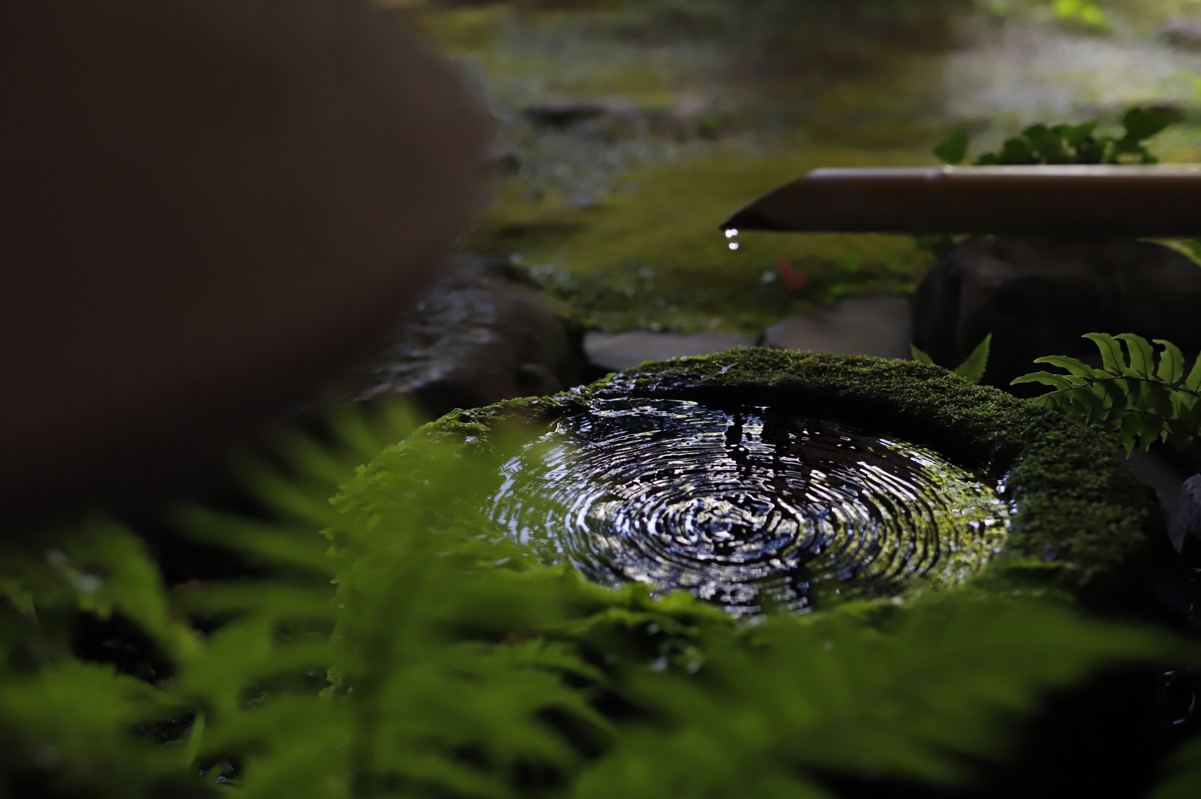 御宿なか屋 外観