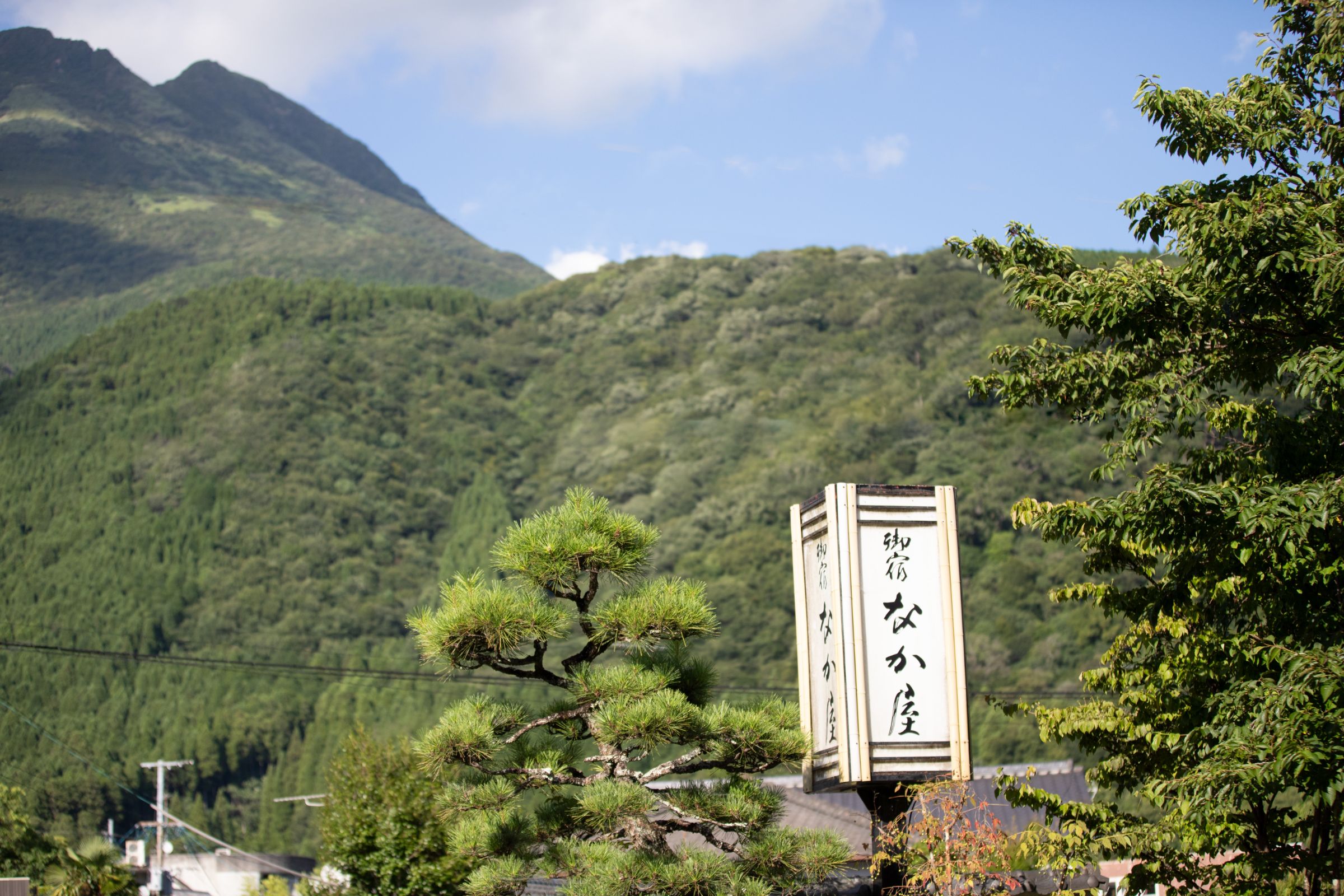 御宿なか屋の玄関