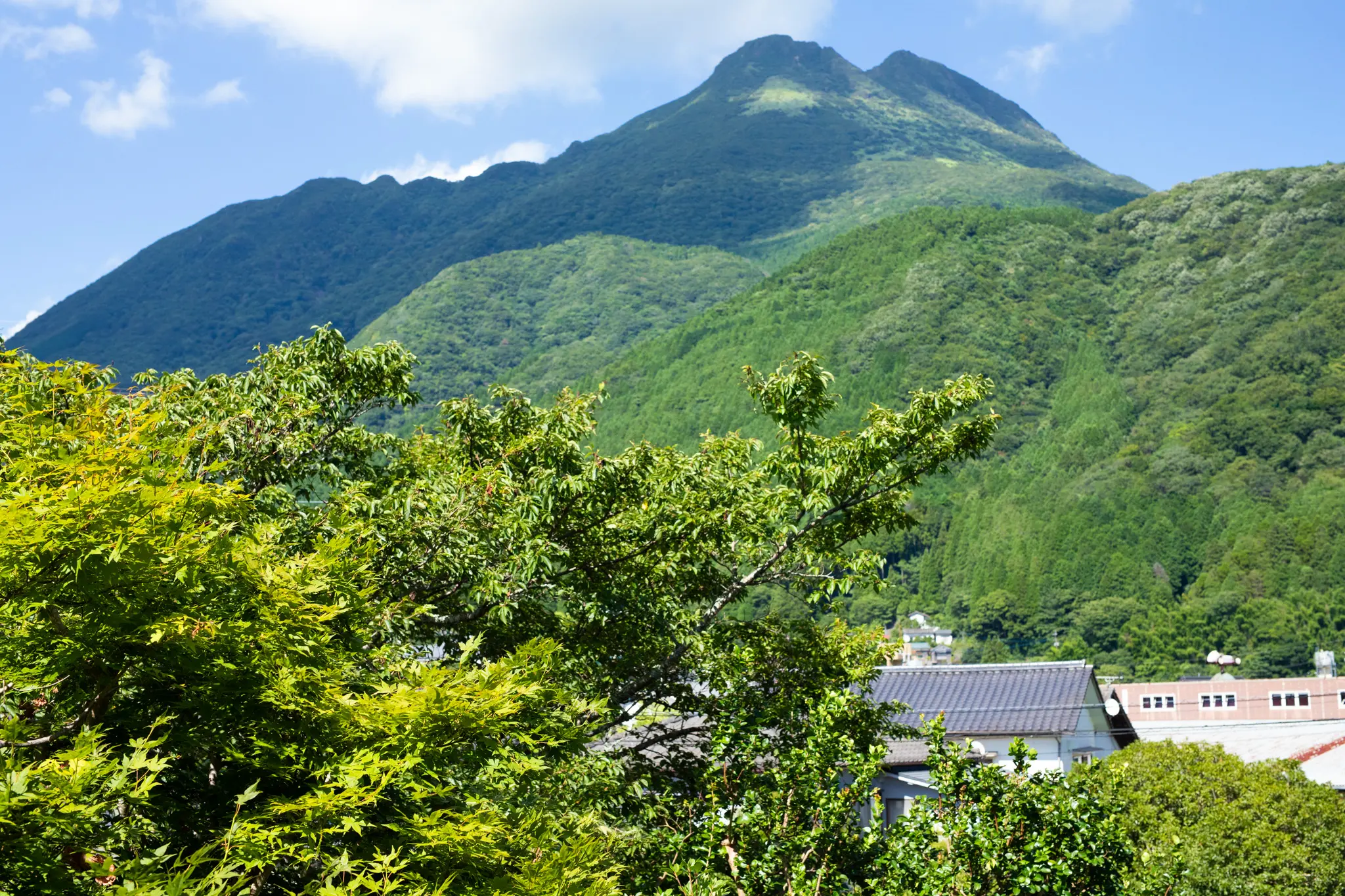 御宿なか屋 お食事